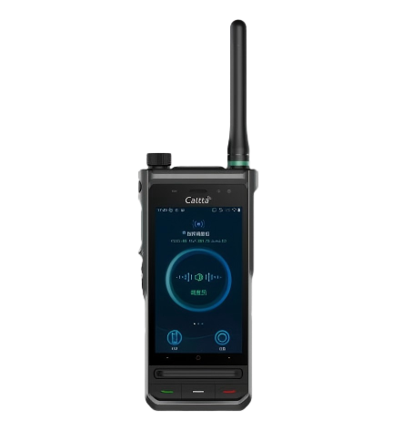 Caltta Digital Dual-Mode Intelligent Terminal NH900S