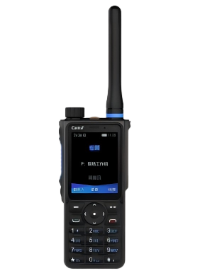 Caltta Digital Dual-Mode Terminal GH965 U1