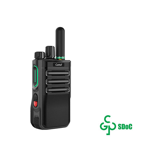 Caltta EChat public network intercom e600