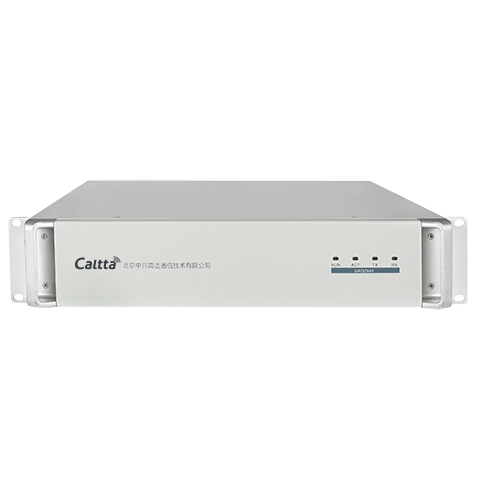 Caltta Analog-Digital Gateway iGW1020B